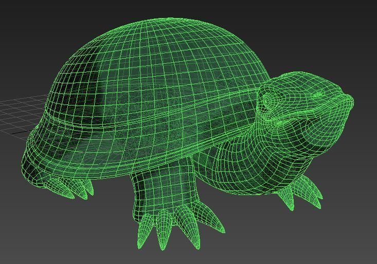 Tortoise jade 3D model_1