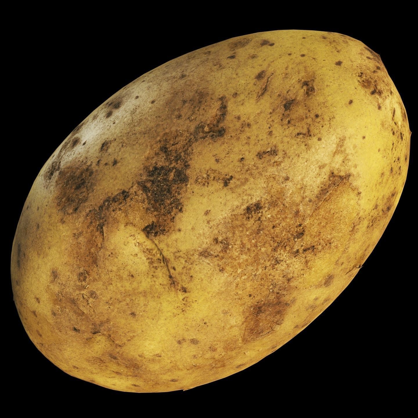 4k Potato Low-poly 3D model_7