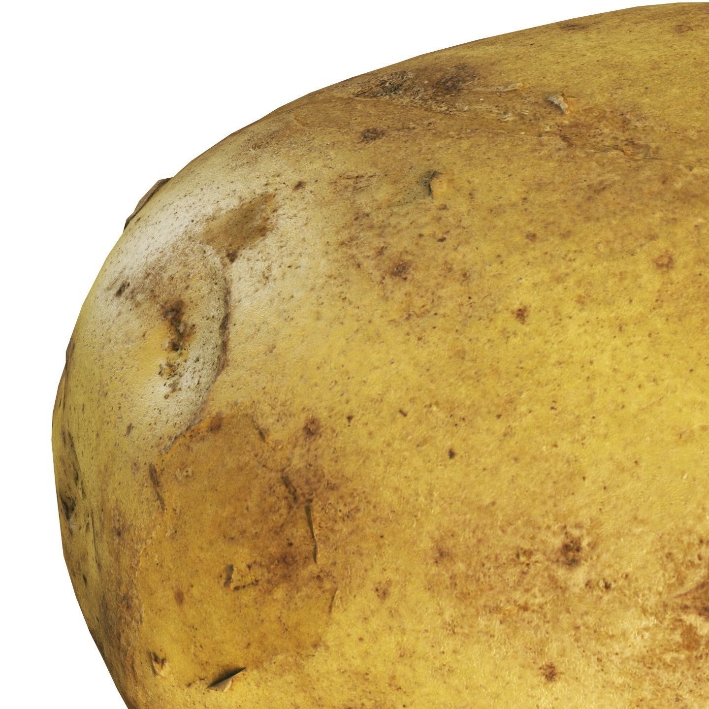 4k Potato Low-poly 3D model_6