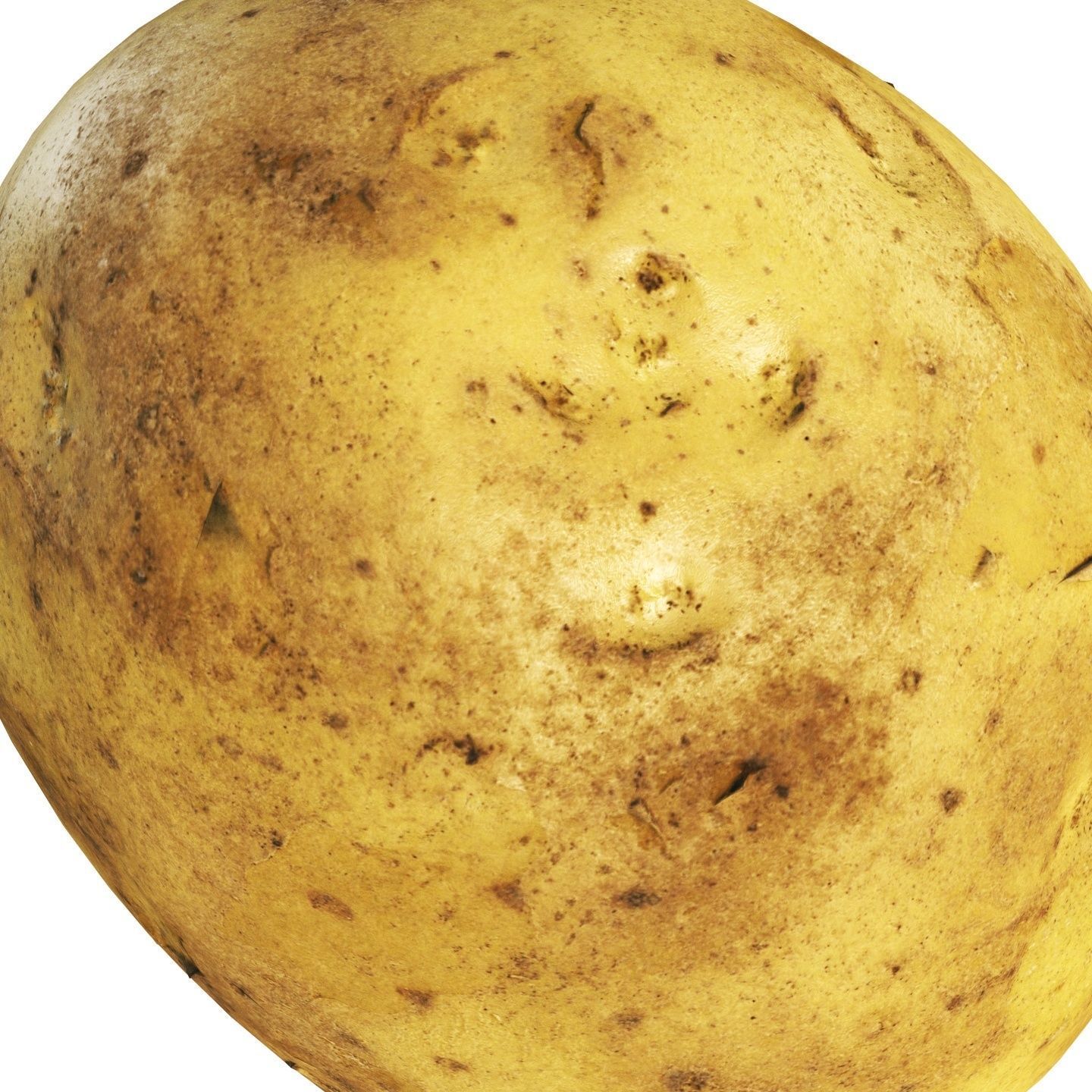 4k Potato Low-poly 3D model_2