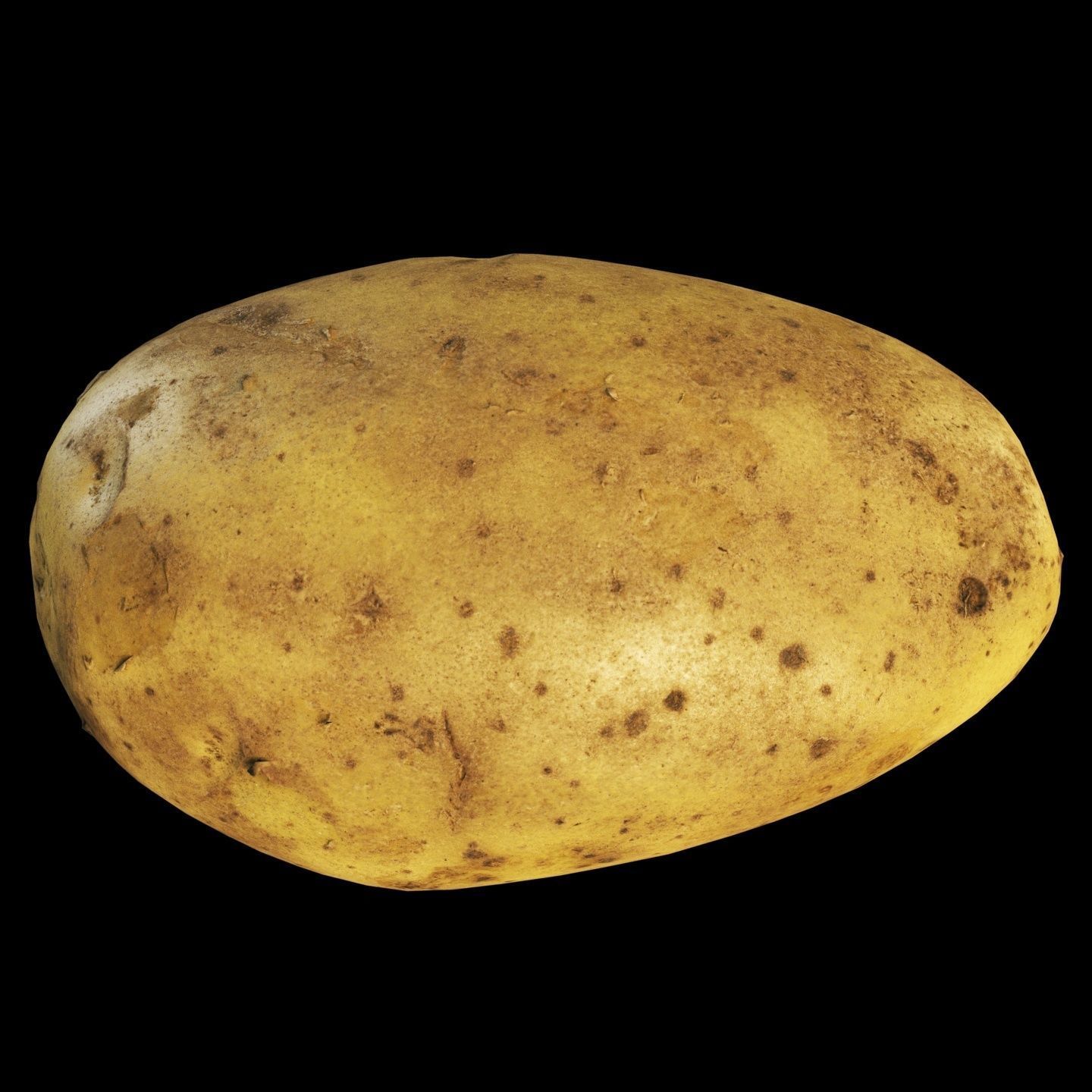 4k Potato Low-poly 3D model_10
