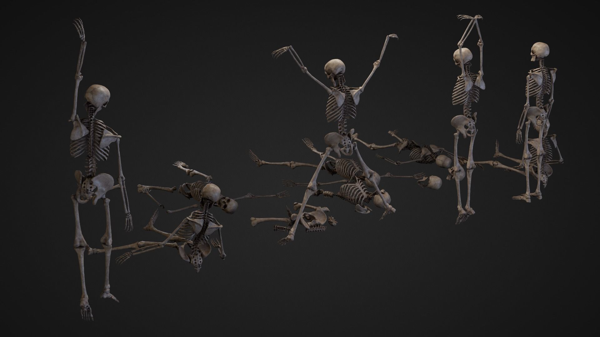 Skeleton Remains Low-poly 3D model_11