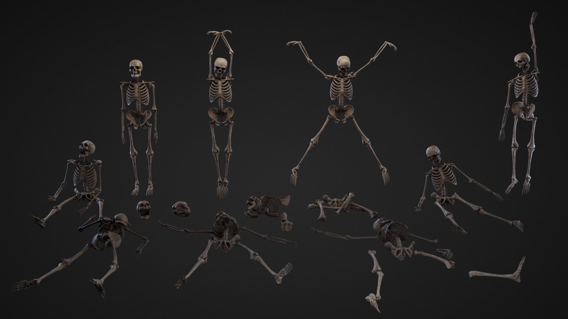Skeleton Remains Low-poly 3D model_1