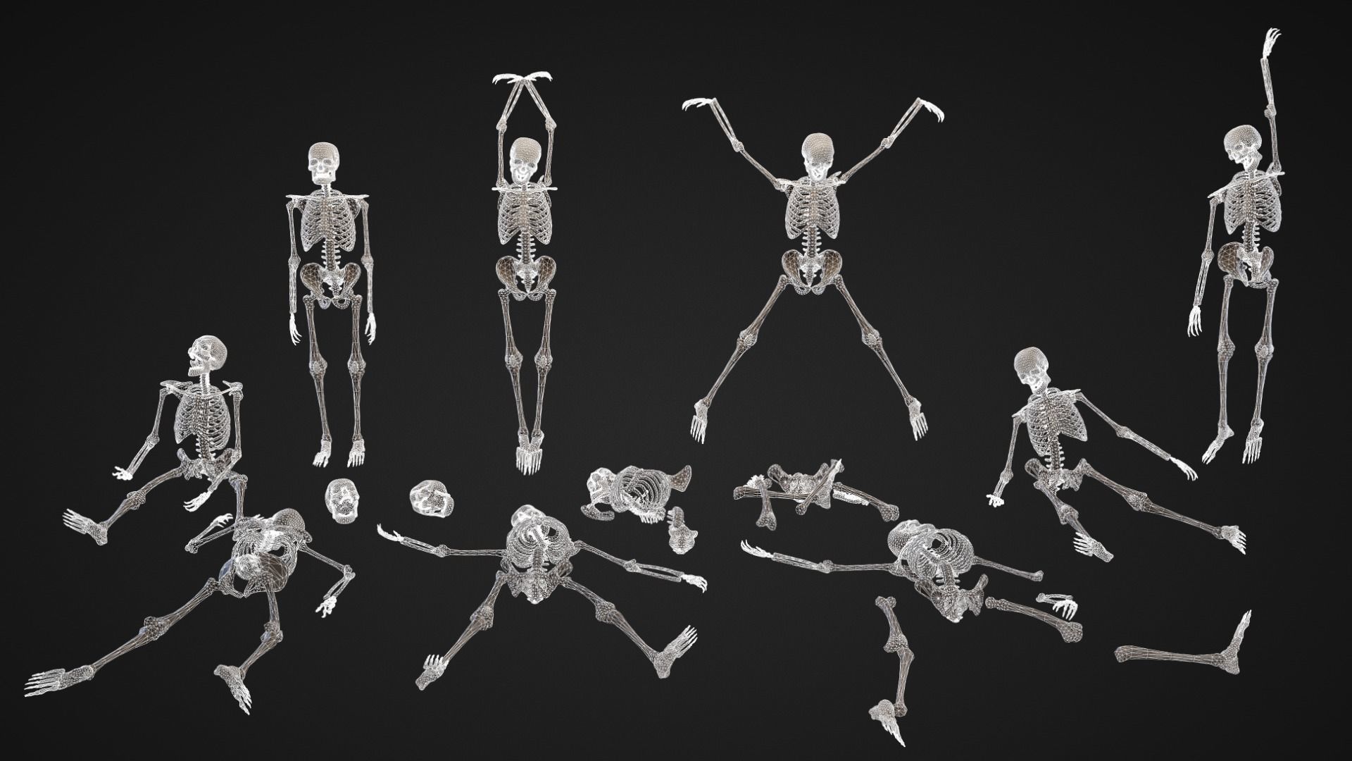 Skeleton Remains Low-poly 3D model_2