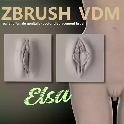 ELSA- ZBRUSH VDM- OBJ- FEMALE ANATOMY  3D model