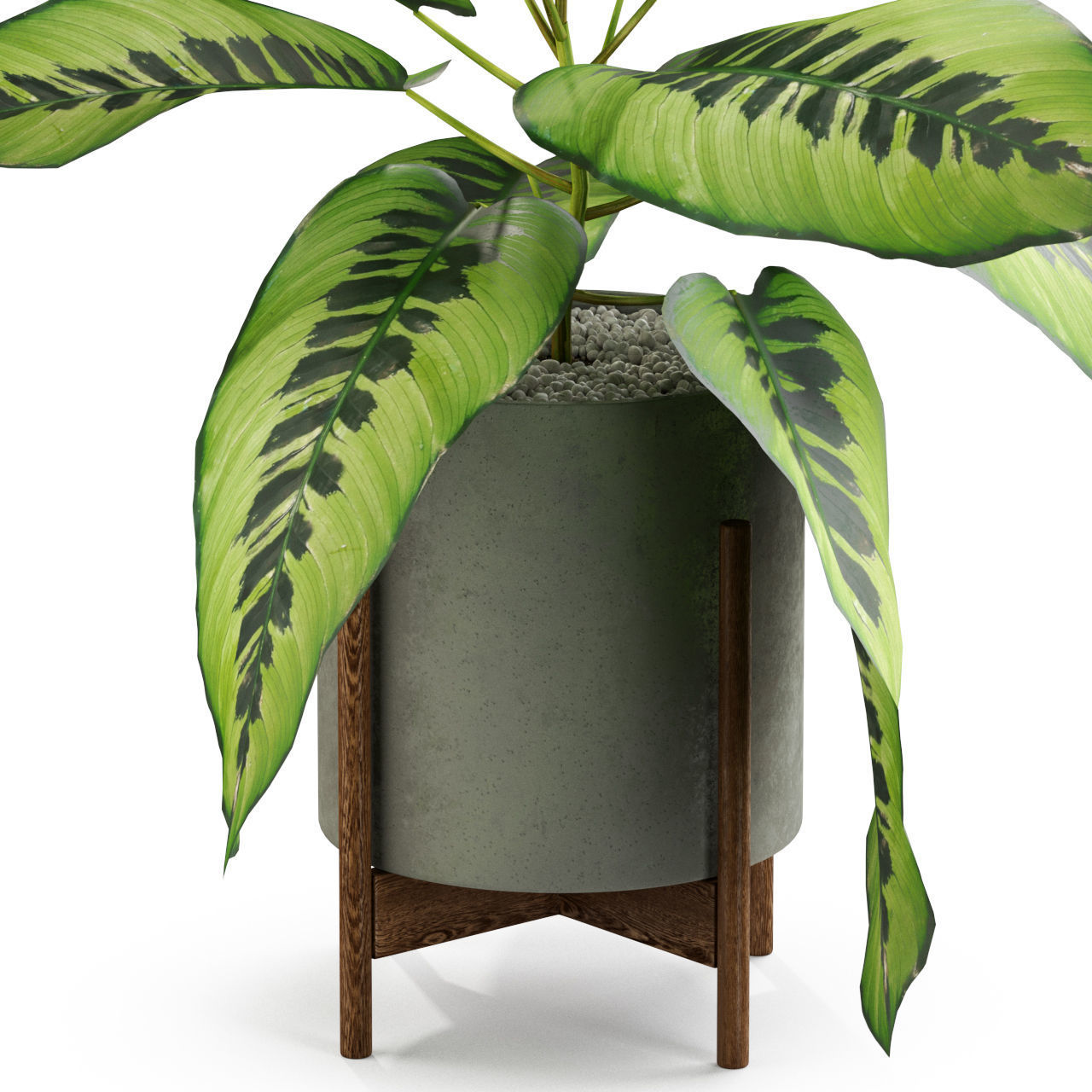 Plants collection 536 3D model_1