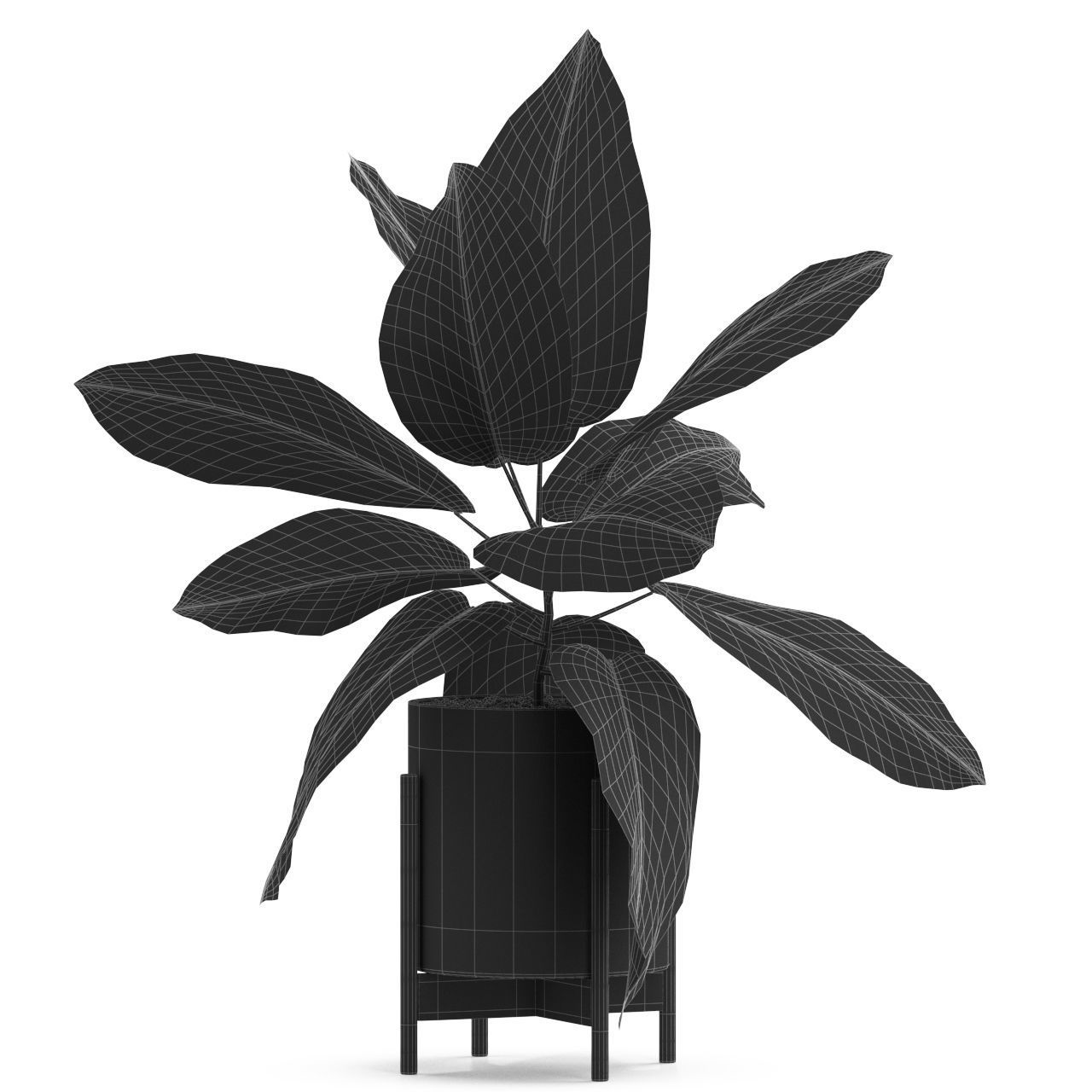 Plants collection 536 3D model_2