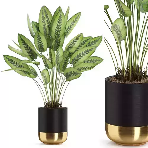 Plants collection 538