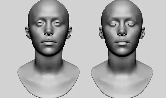 Female Head Printable v2 3D print model