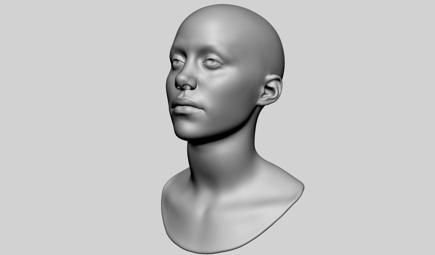 Female Head Printable v2 3D print model_10