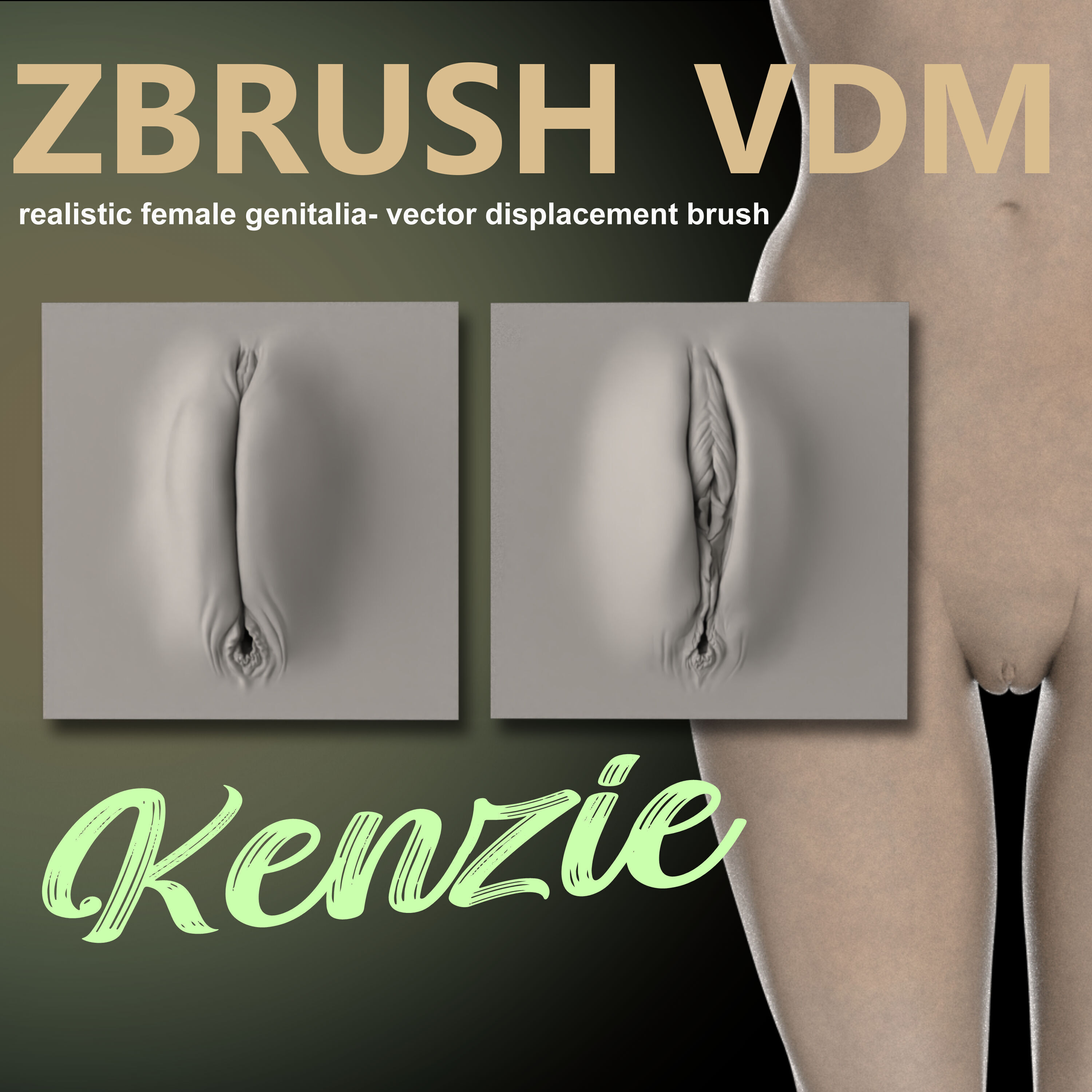 KENZIE- ZBRUSH VDM- OBJ- FEMALE ANATOMY 3D model_2