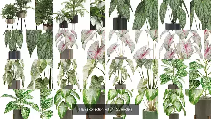 Plants collection vol 04