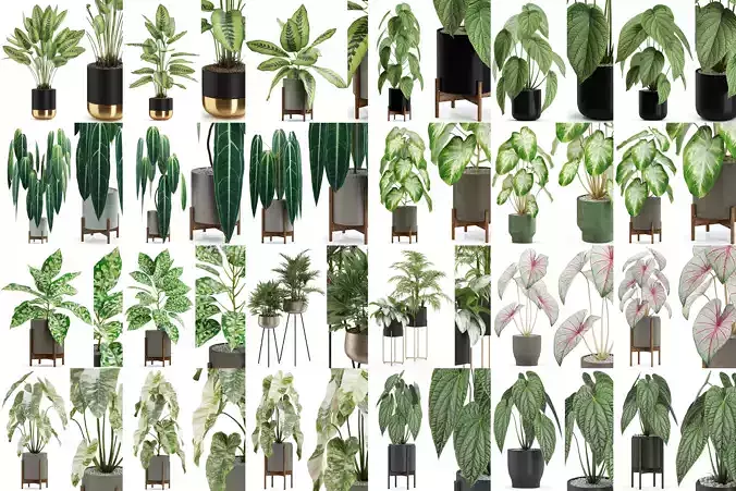 Plants collection vol 04 