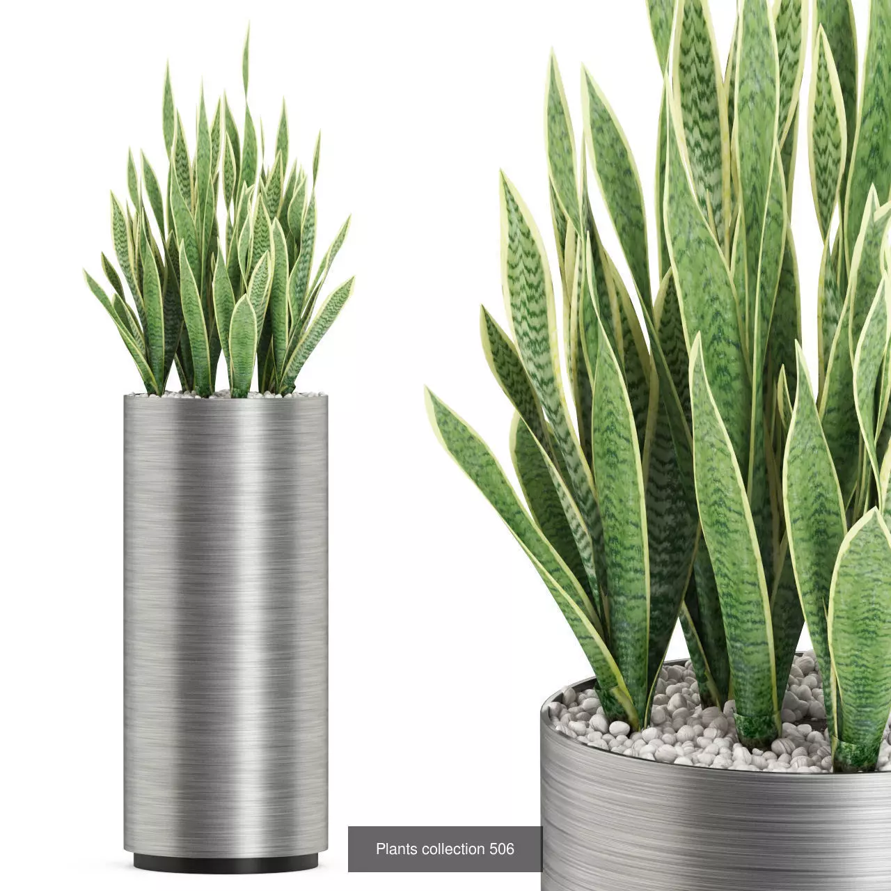 Plants collection vol 05 _19