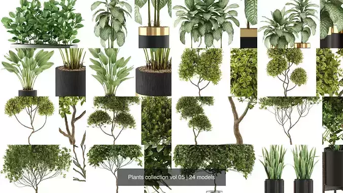 Plants collection vol 05