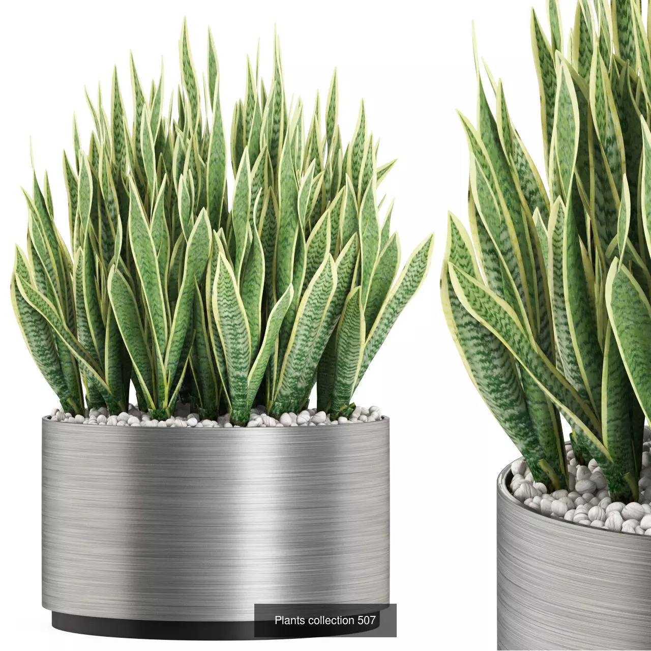 Plants collection vol 05 _20