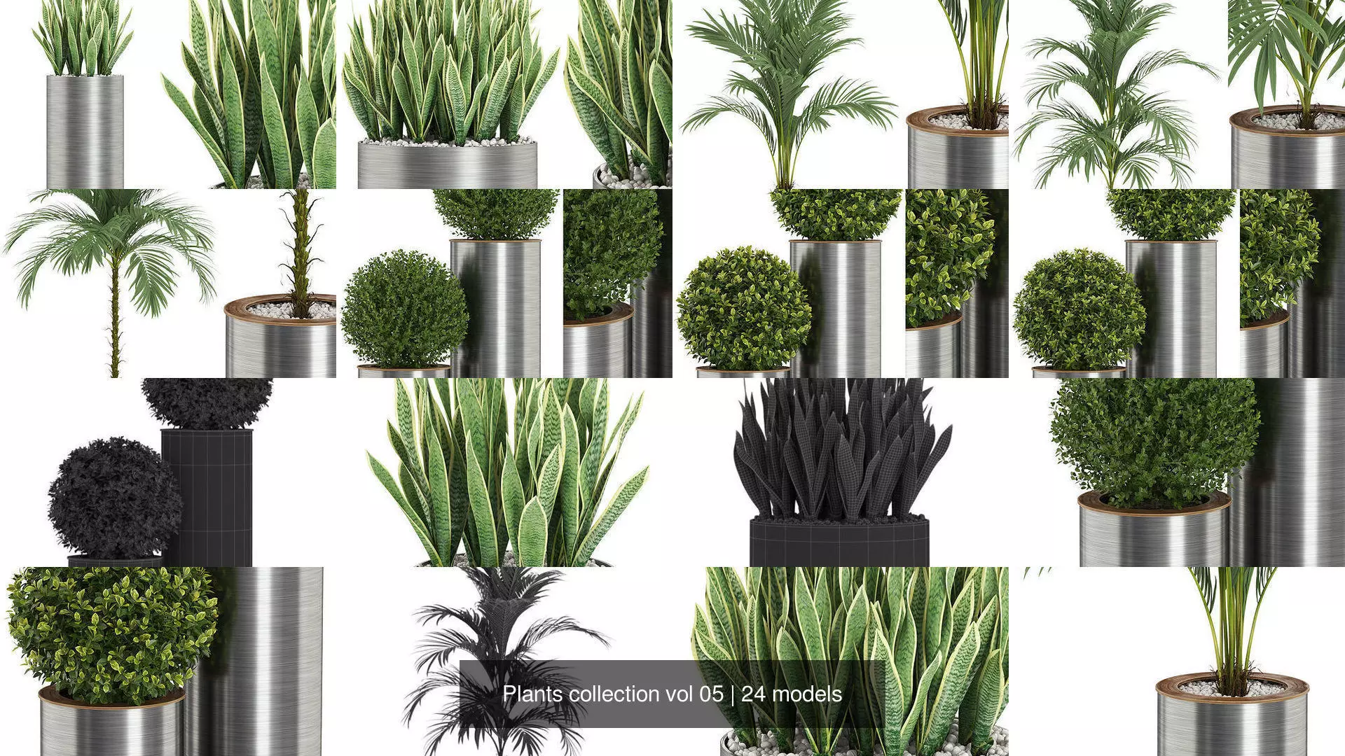 Plants collection vol 05 _2