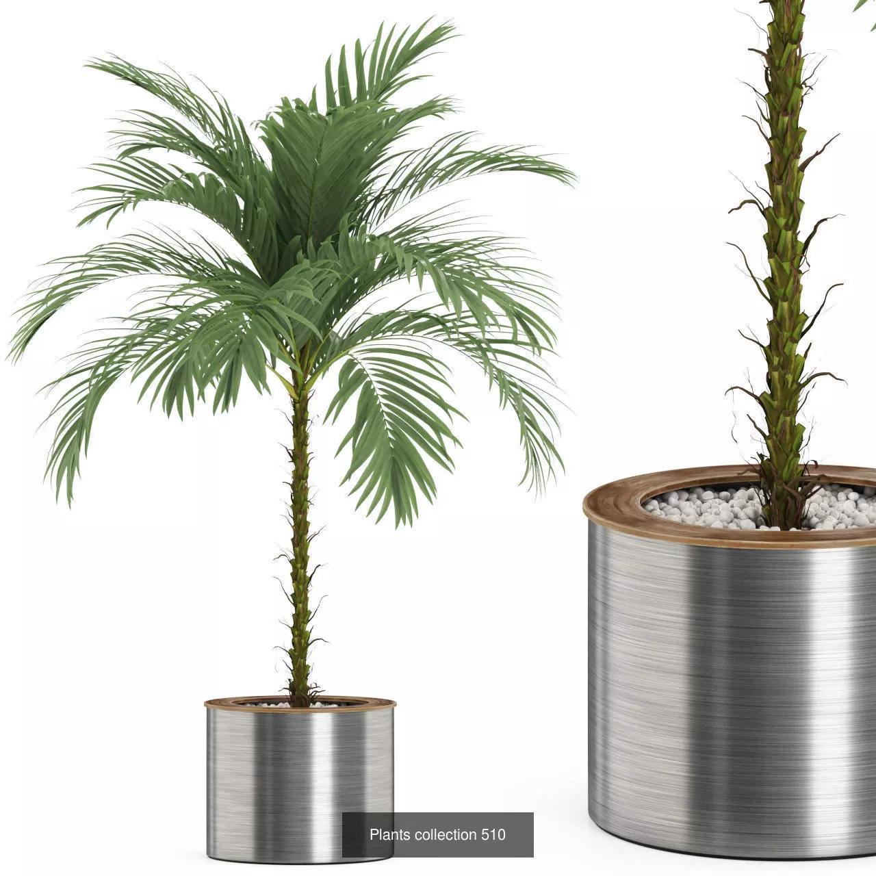 Plants collection vol 05 _23