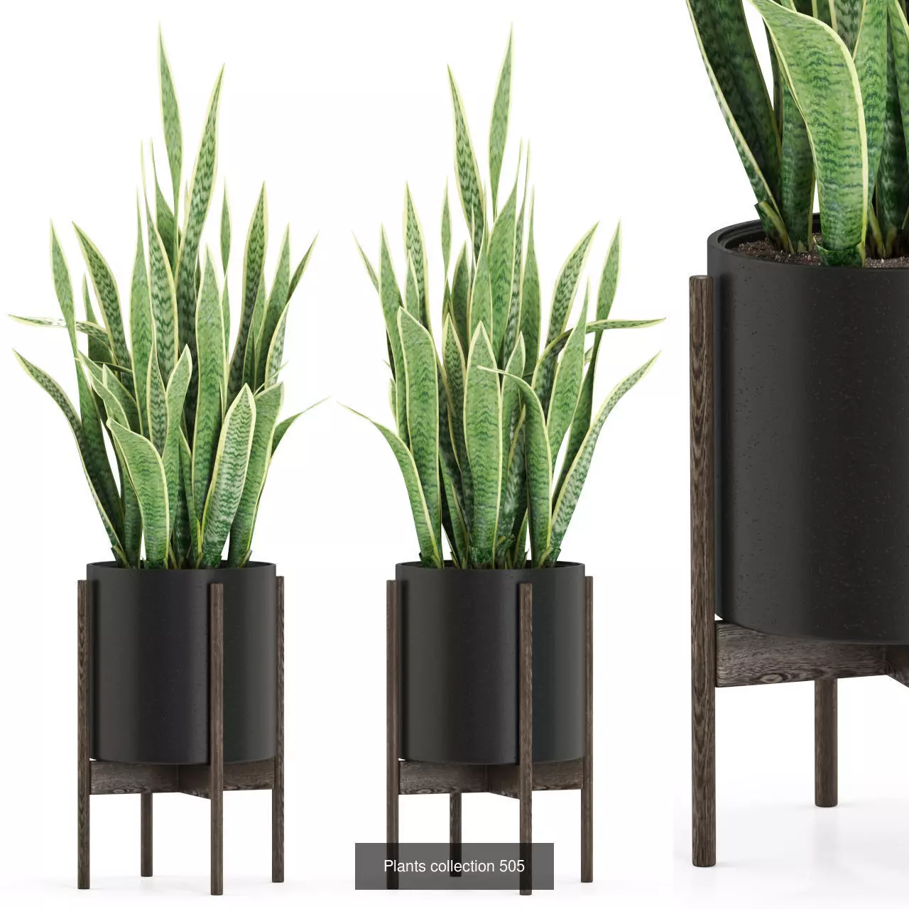 Plants collection vol 05 _18