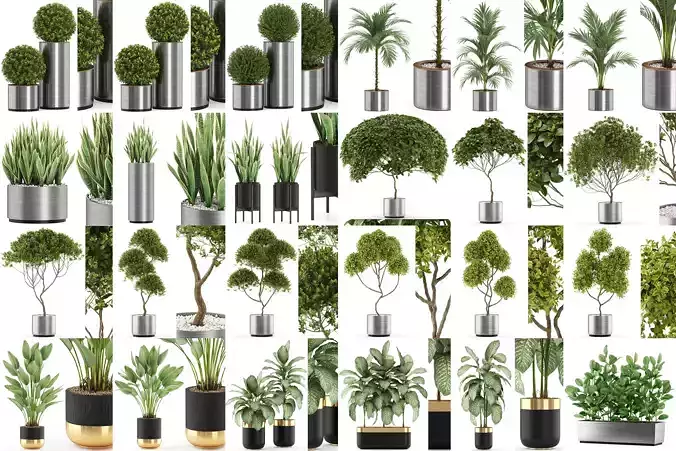 Plants collection vol 05 