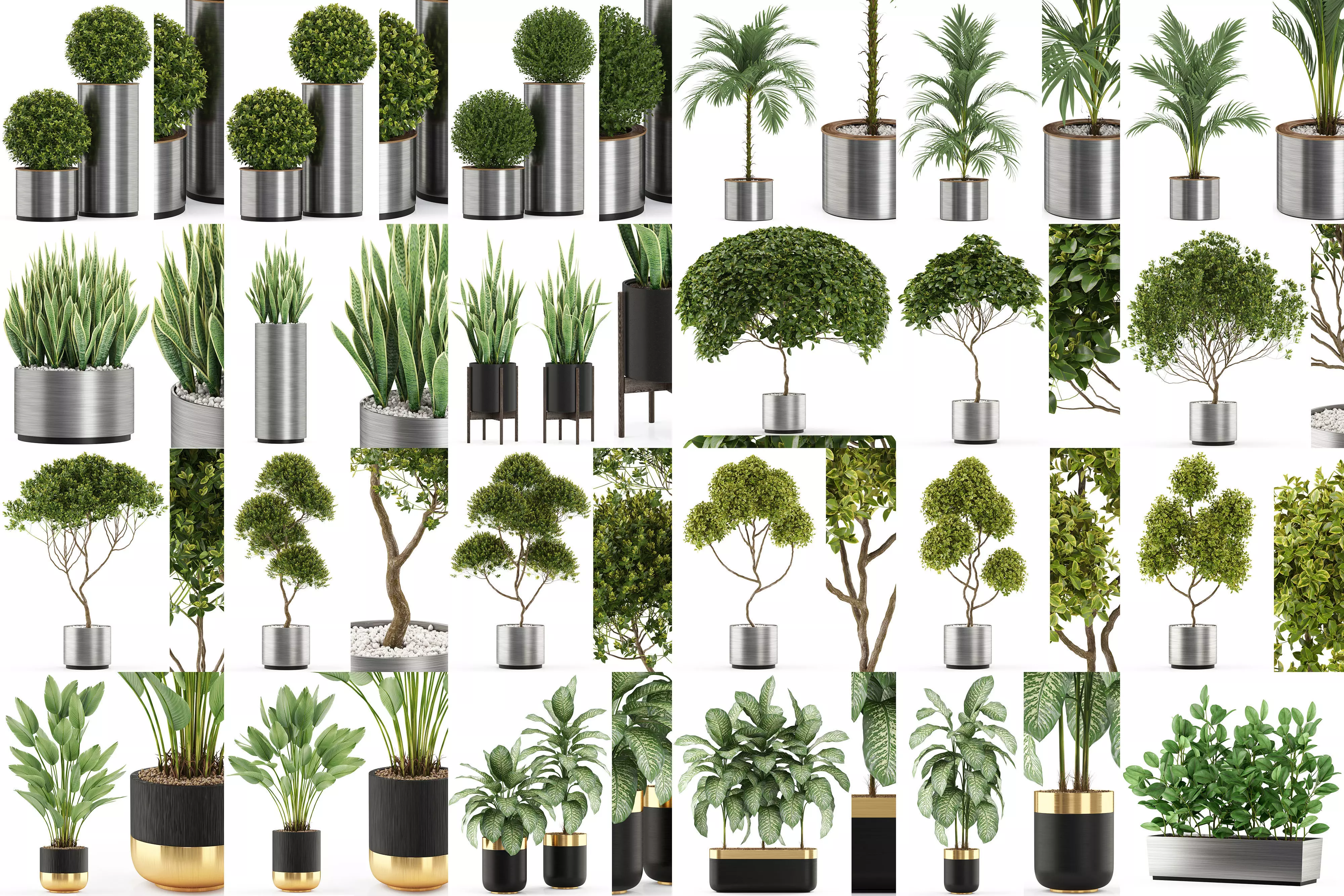 Plants collection vol 05 _0