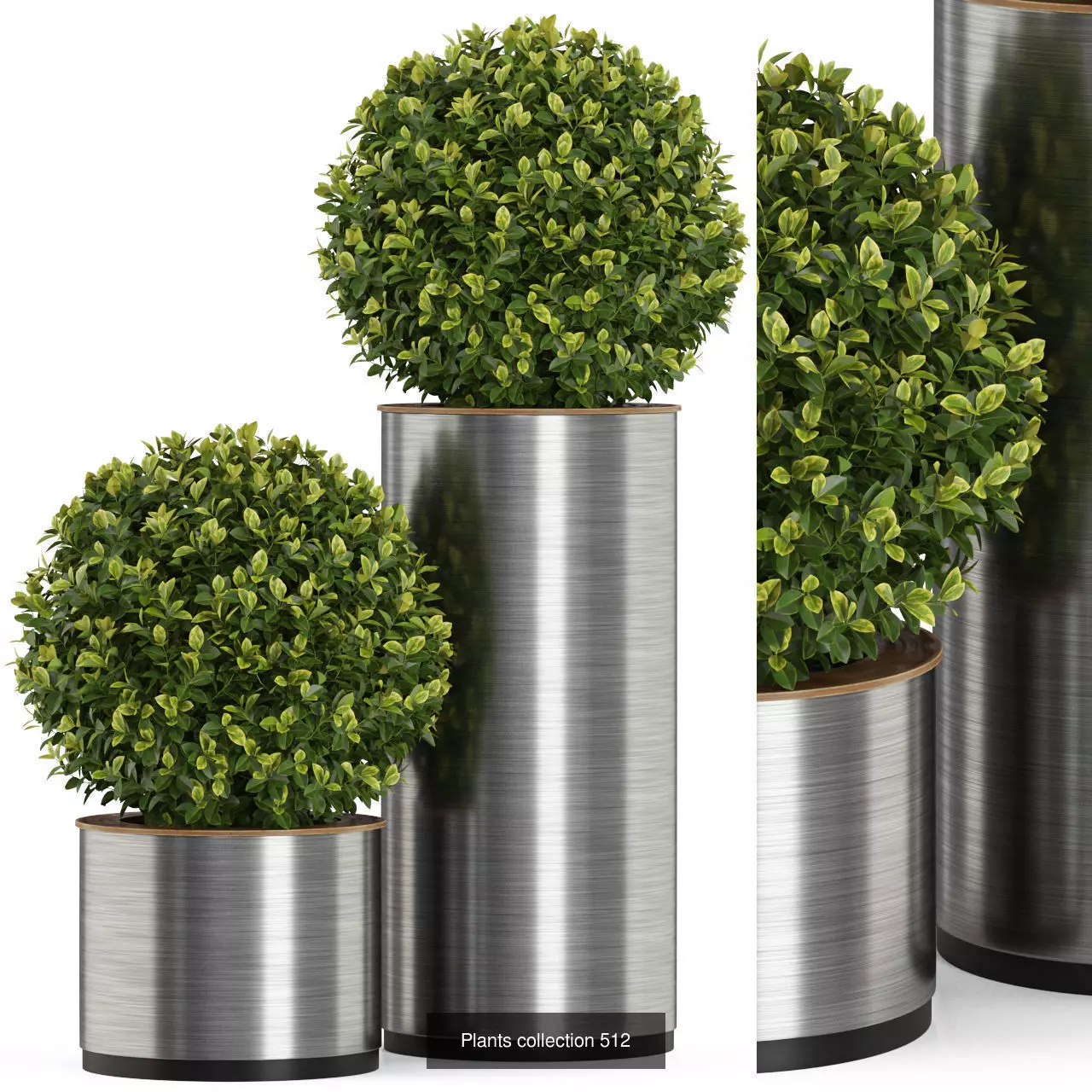 Plants collection vol 05 _25