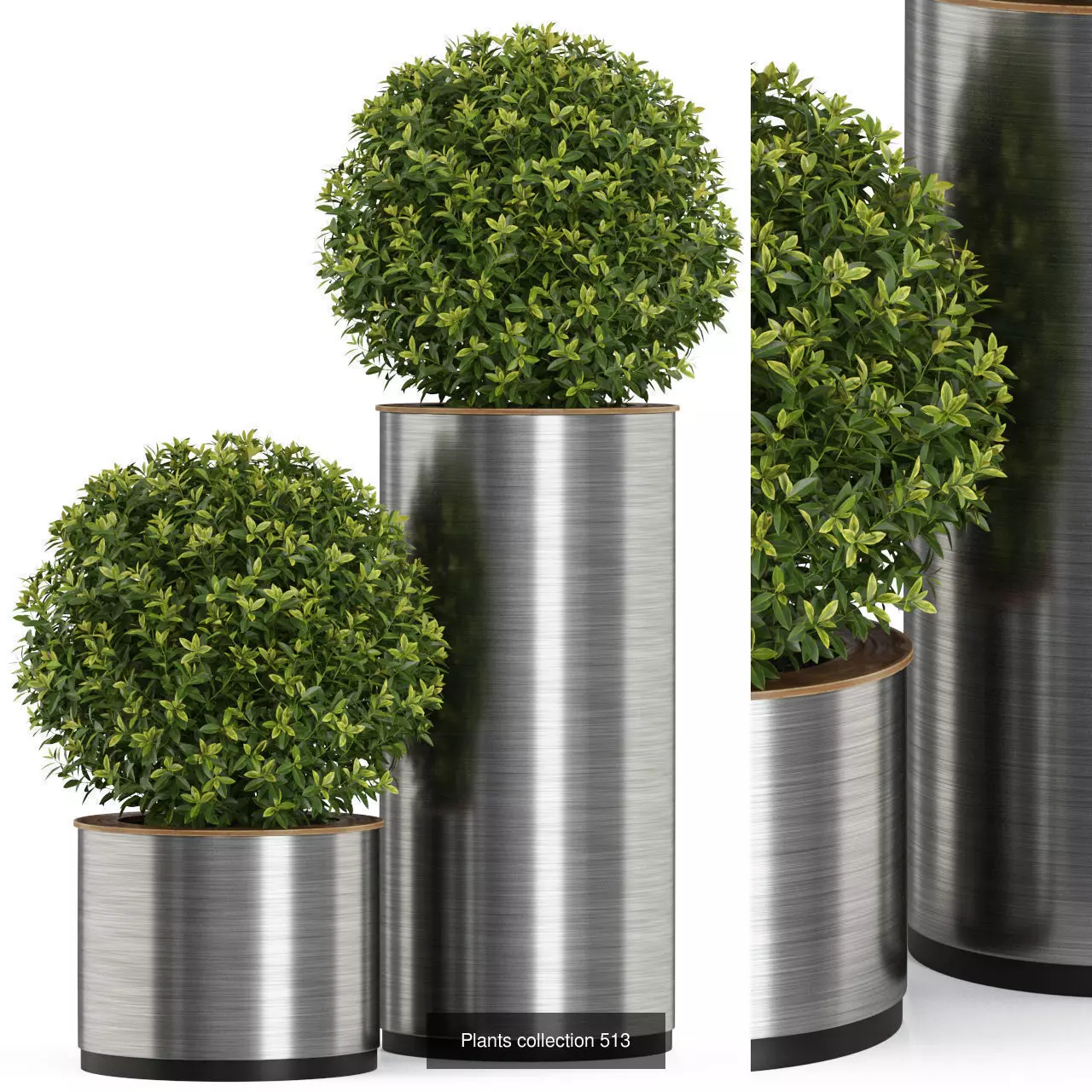 Plants collection vol 05 _26