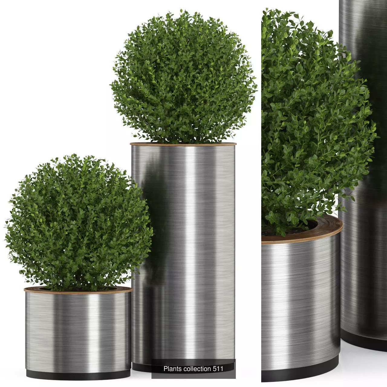 Plants collection vol 05 _24