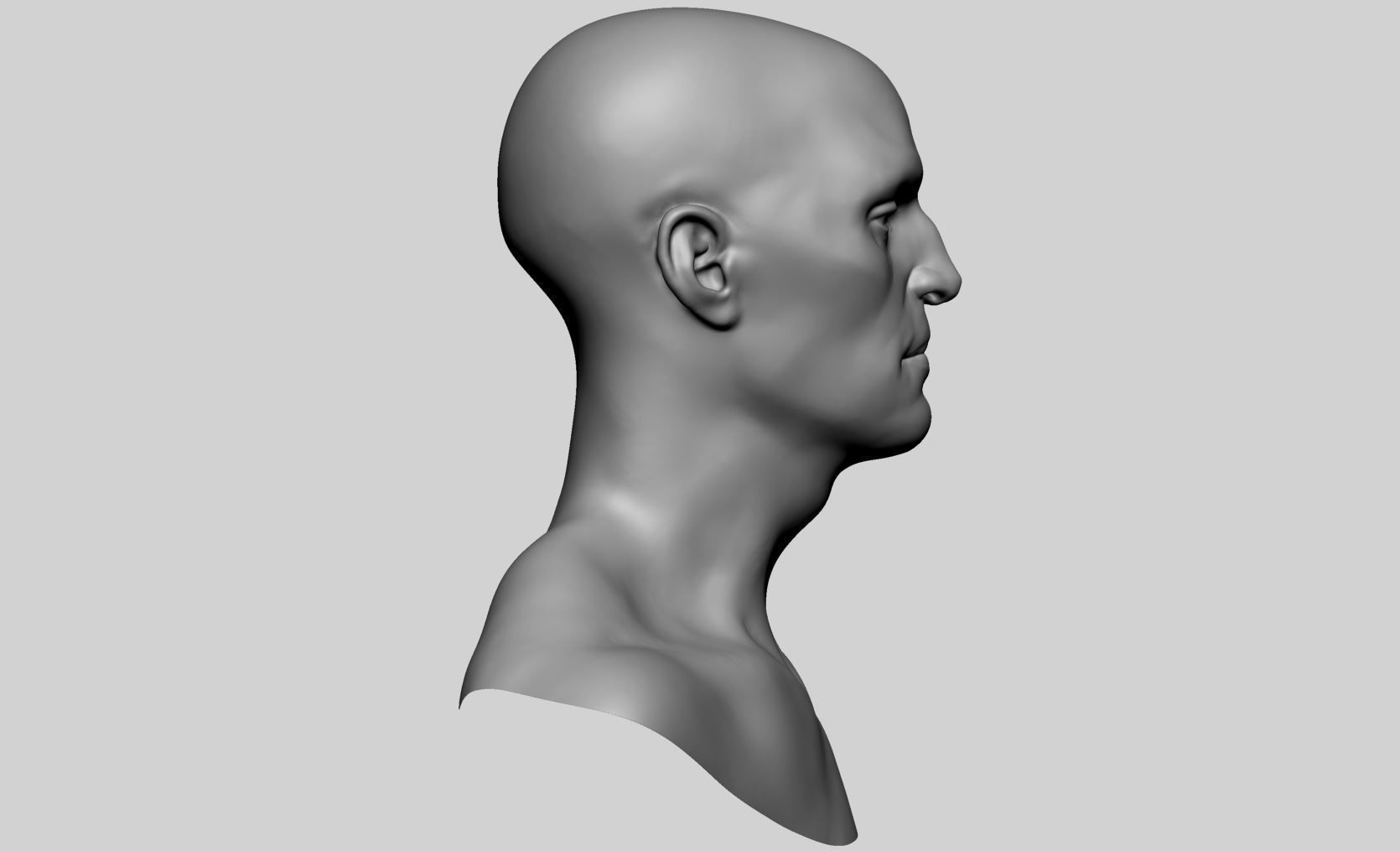 Base Male Head v4 3D model_3