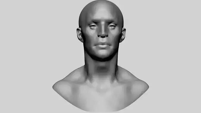 Base Male Head v4 3D model
