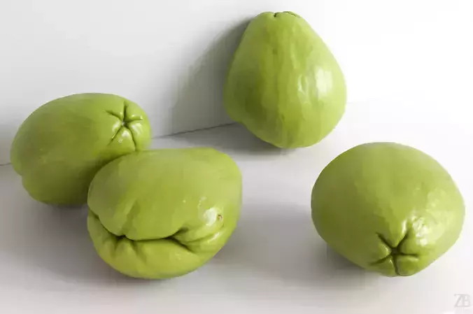 Chayote 3D model