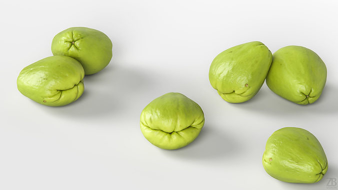 Chayote 3D model 3