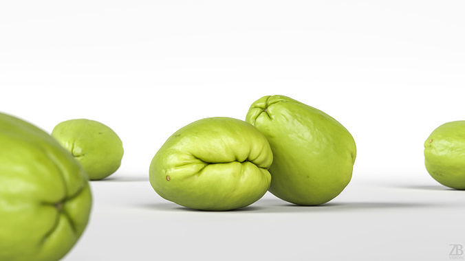 Chayote 3D model 2
