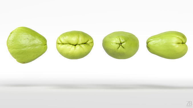 Chayote 3D model 5