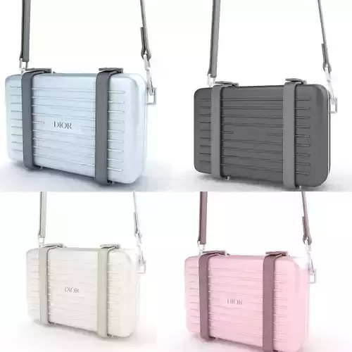 Dior and Rimowa Clutch Collection