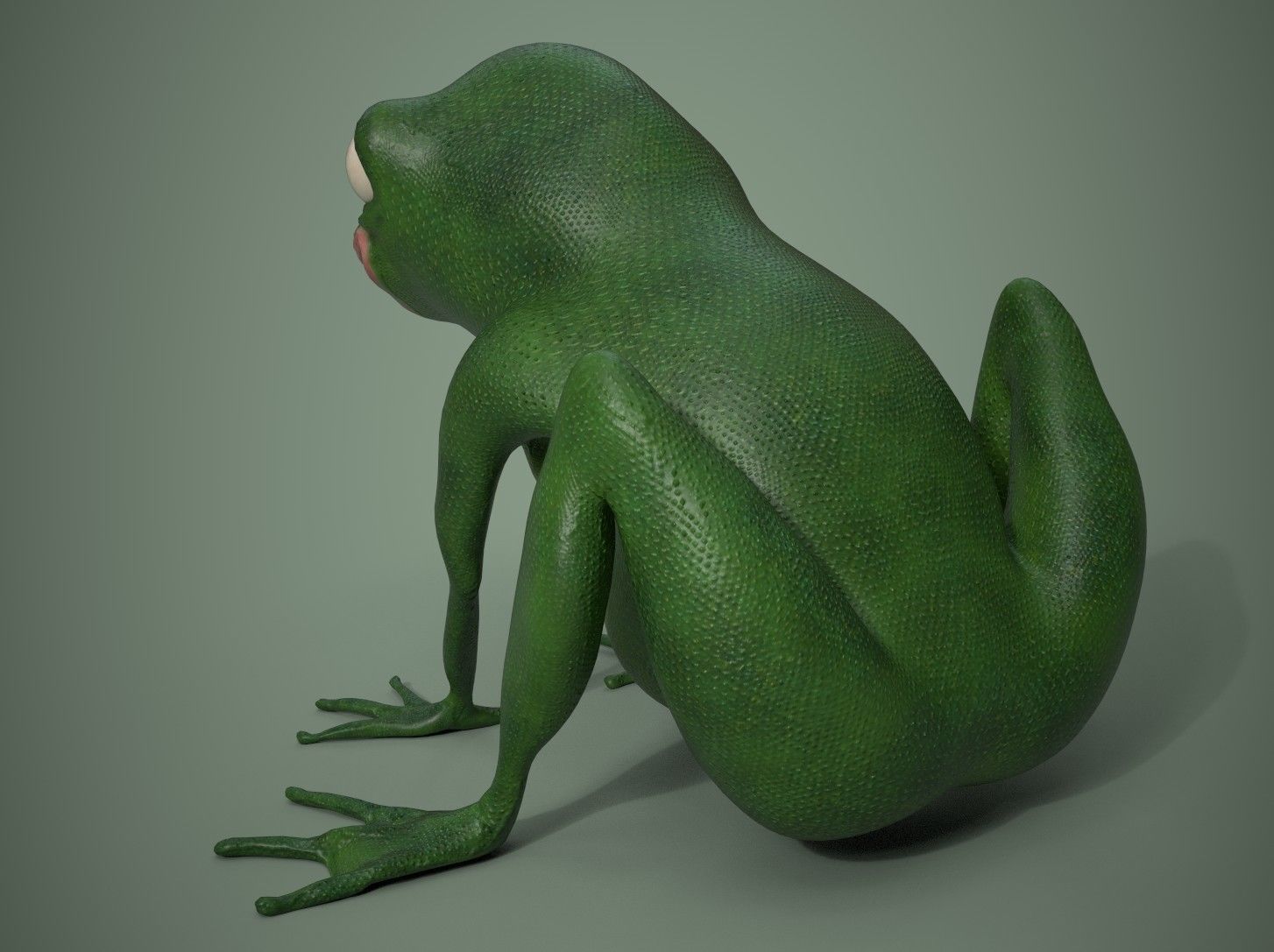 Happy Frog Stylized Low-poly 3D model_2