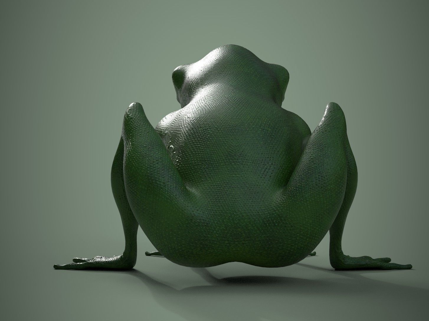 Happy Frog Stylized Low-poly 3D model_3