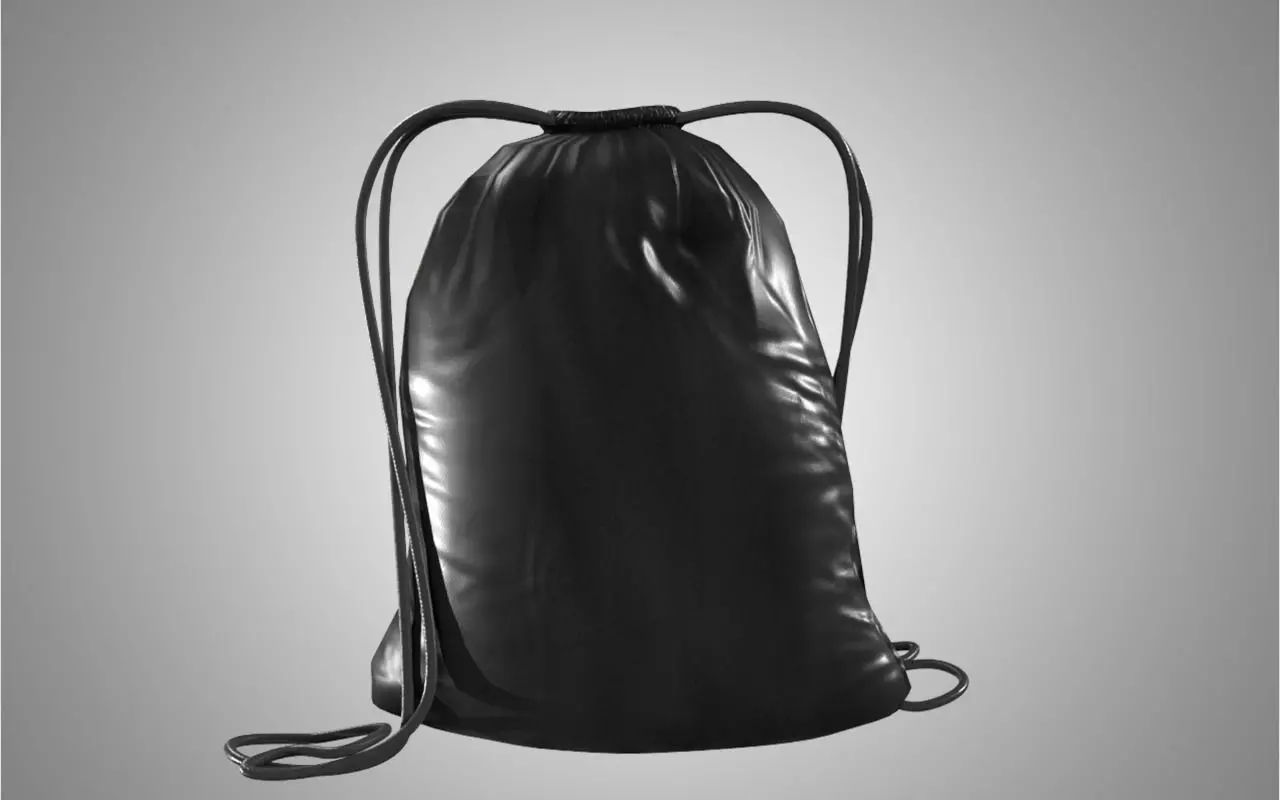 Bag Pack Free 3D model