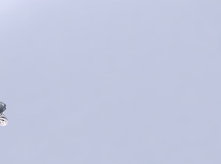 Vase flower funnel with beveled intertwining lines twisted wavy 3D print model_1