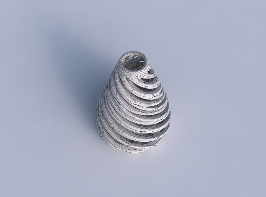 Vase flask with twisted inner and outer lines very twisted 3D print model_6