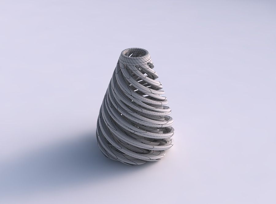 Vase flask with twisted inner and outer lines very twisted 3D print model_5