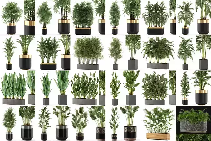 Plants collection vol 06 