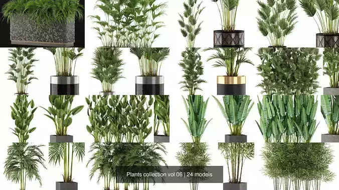 Plants collection vol 06