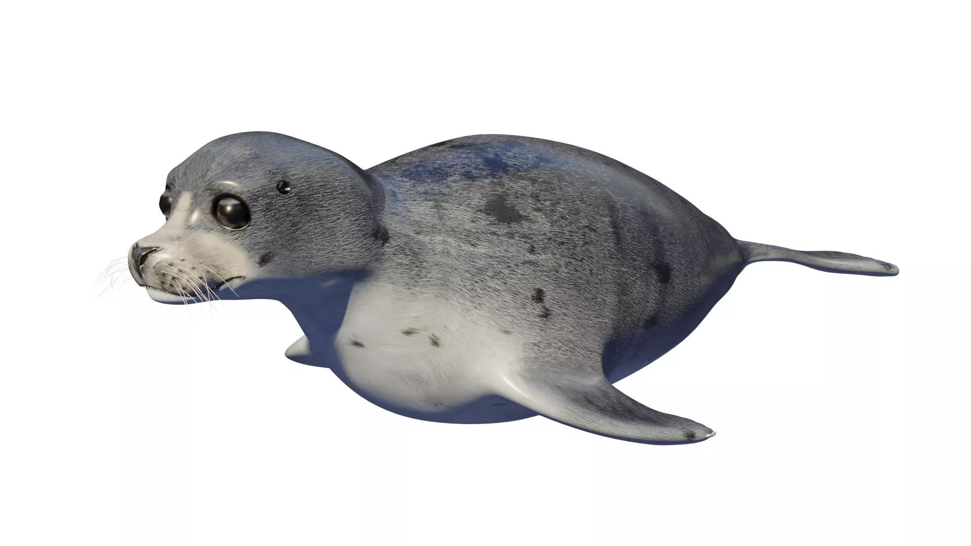 Seal animal Low-poly 3D model