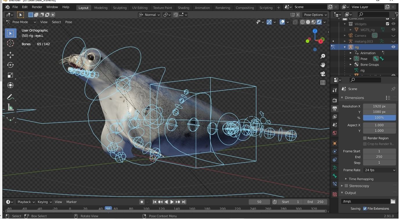 Seal animal Low-poly 3D model_6