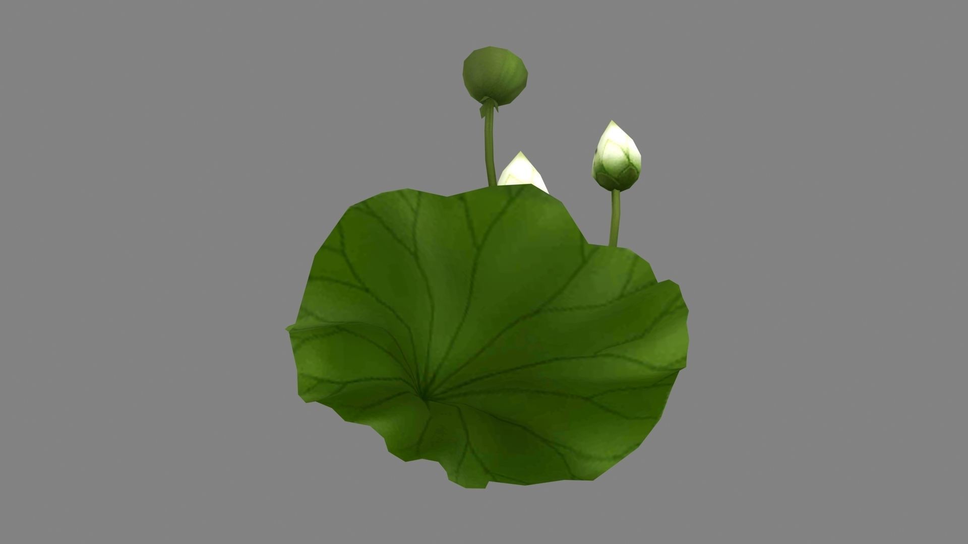 Cartoon Frog fishing on lotus leaf Low-poly 3D model_3
