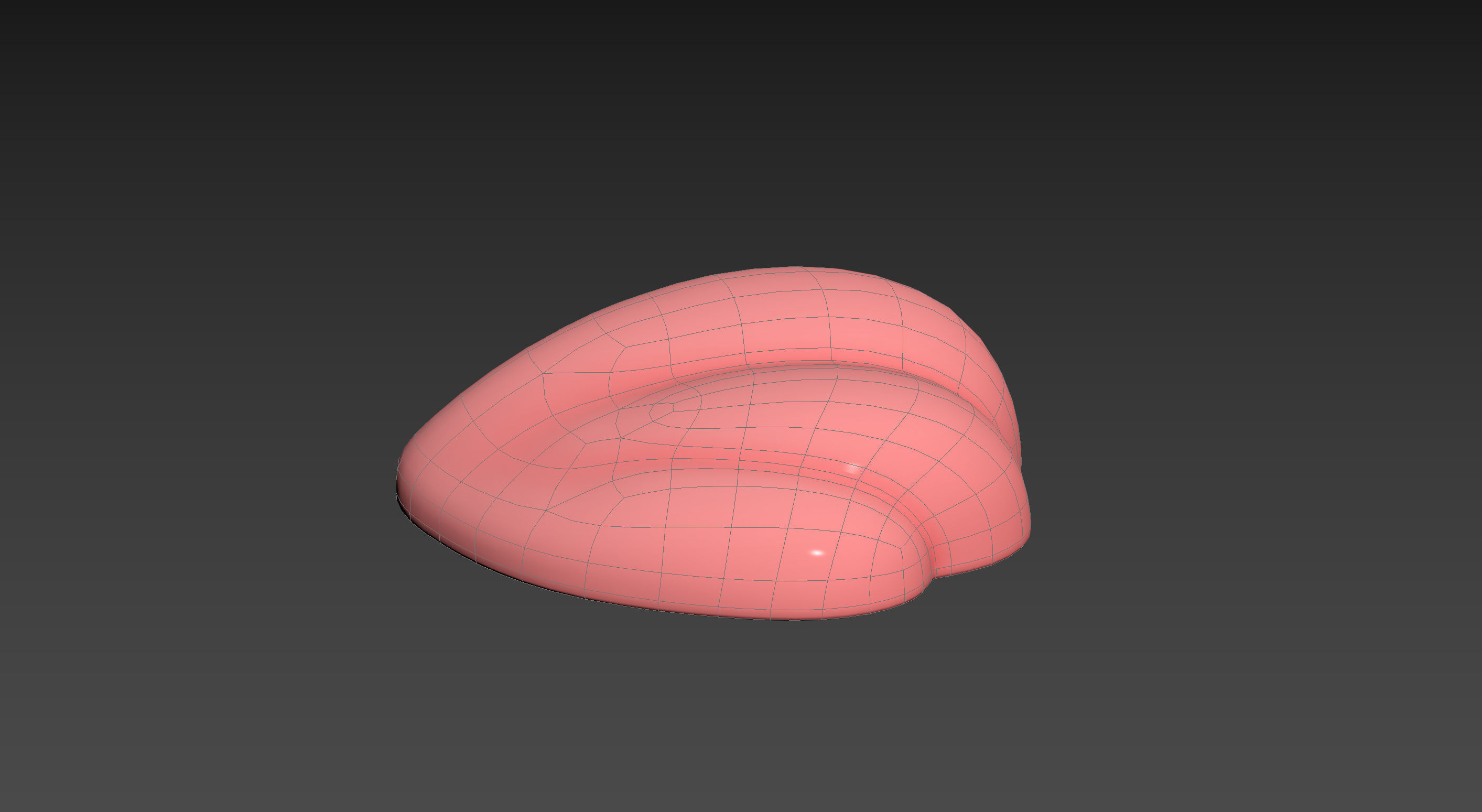Sea Shell 3D model_19