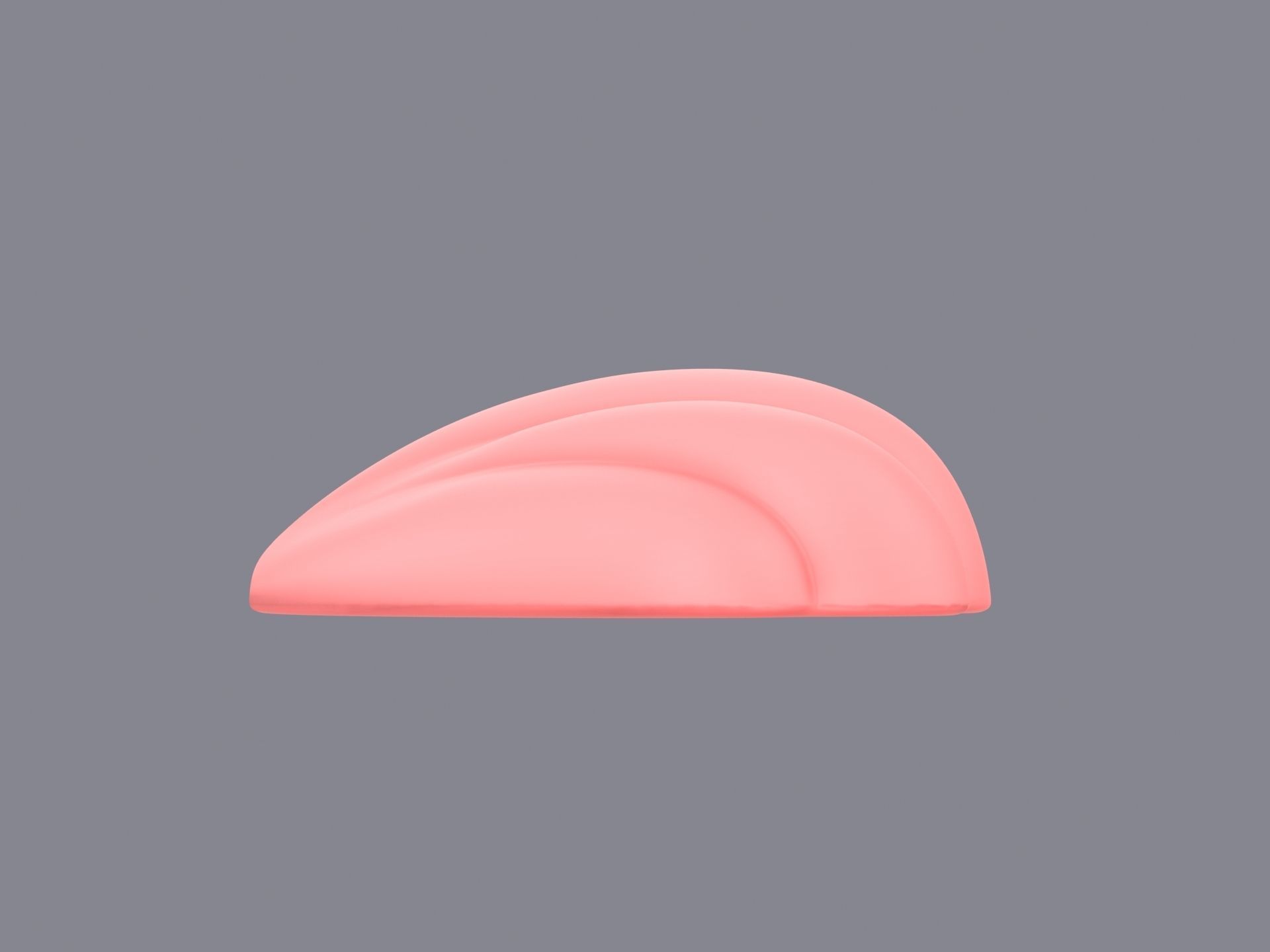 Sea Shell 3D model_7