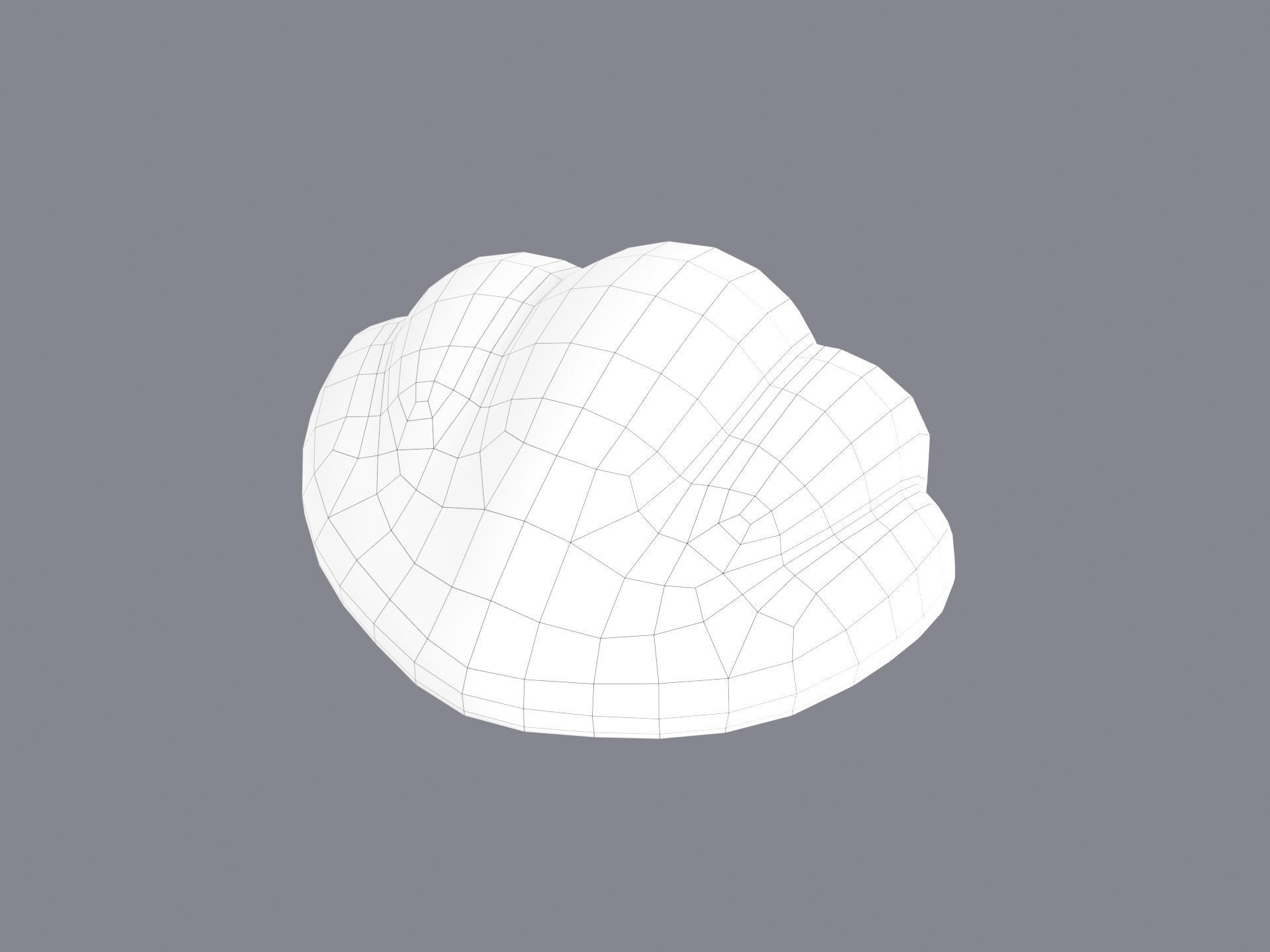 Sea Shell 3D model_23