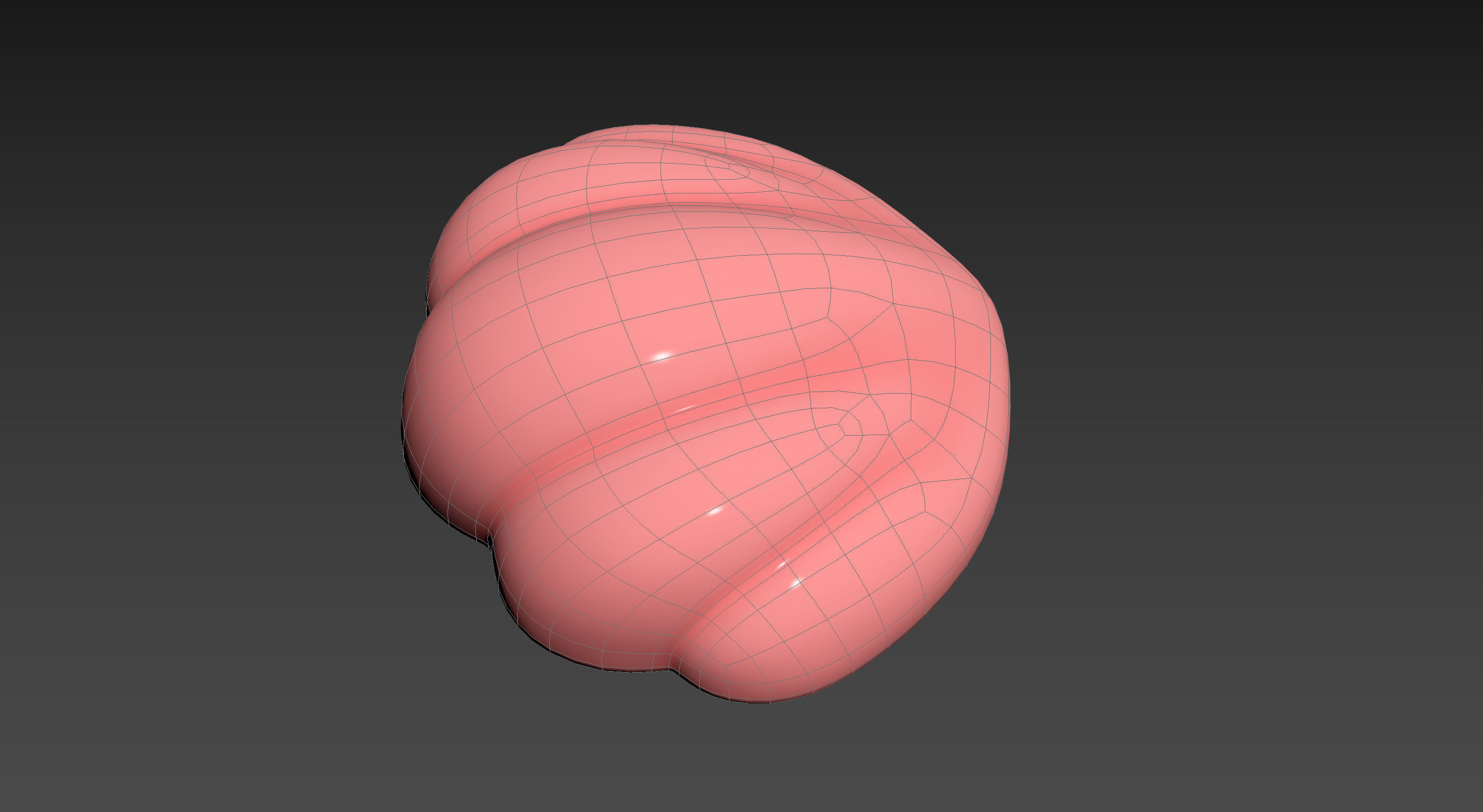 Sea Shell 3D model_14